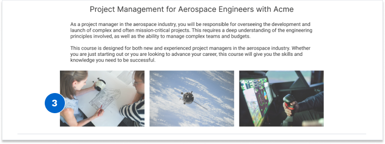 Example of accessible images with alt-text in a lesson.